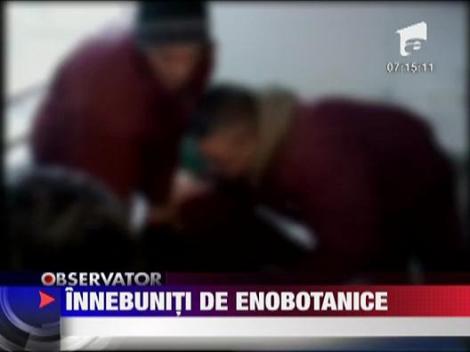 Camerele de urgente invadate de tinerii care au petrecut cu etnobotanice