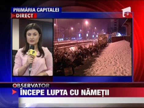 Incepe lupta cu nametii in Bucuresti