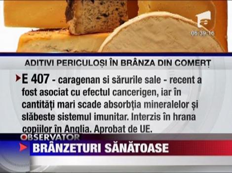 Felicia: Branzeturi sanatoase