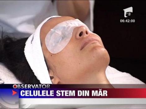 Felicia: Celulele stem din mar