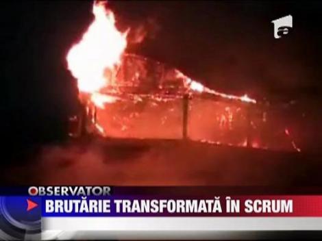 Brutarie transformata in scrum