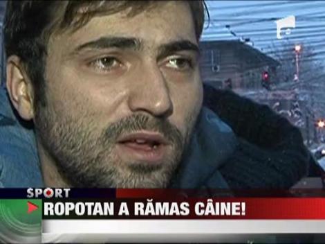 Ropotan a ramas caine