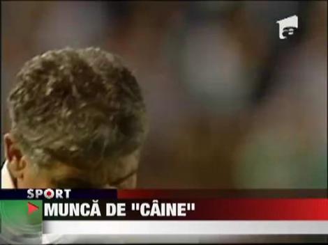 Andone: "Am muncit mult si prost in 2010"