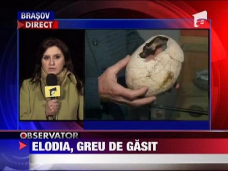 Elodia Ghinescu este greu de gasit