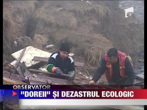 Groapa de la Ocna Mures, curatata de "Dorel"