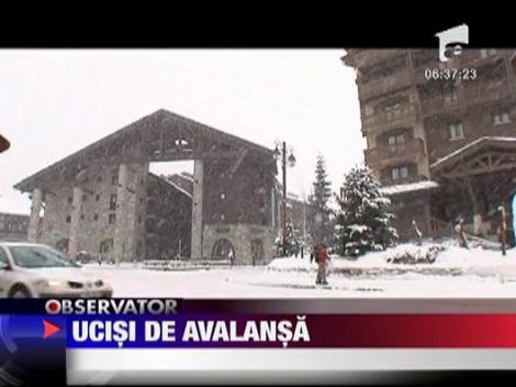 Franta: Patru schiori, morti in urma unei avalanse in Alpii francezi