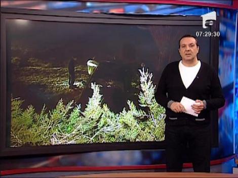 Un sofer s-a speriat de o depasire riscanta si a sarit cu  masina de pe un pod