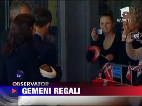 Gemeni regali in public