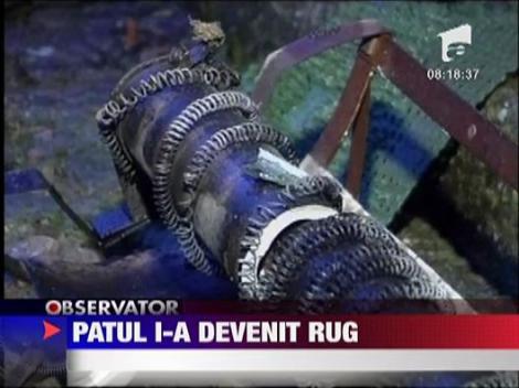 A murit ars de viu in propria casa