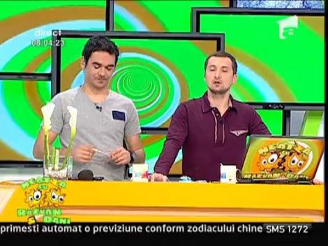 Razvan si Dani isi iau la revedere de la Daniela Crudu