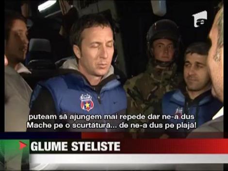 Glume steliste