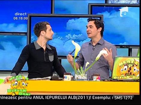 Bancul Zilei:  Femeia Maritata