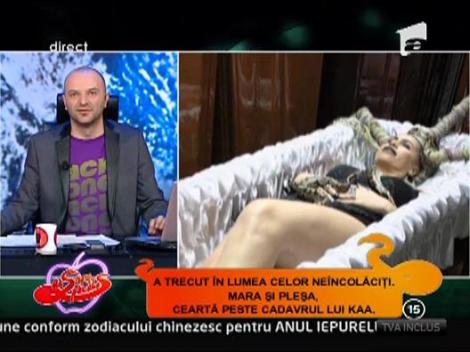 Mara Banica, intrigata de Carmen Plesea