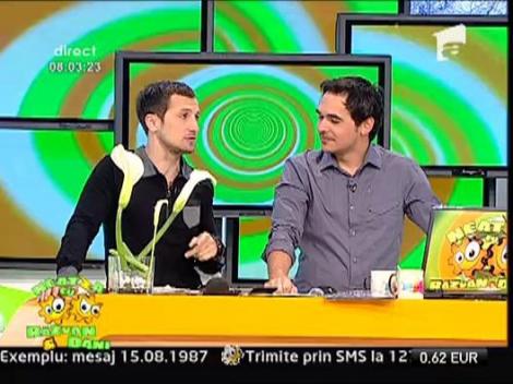 Dani si cainele comunitar