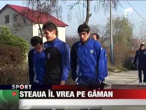 Steaua ii vrea pe Gaman si Barboianu