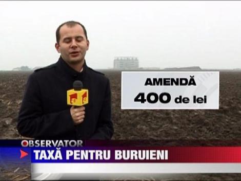 Taxa pentru buruieni