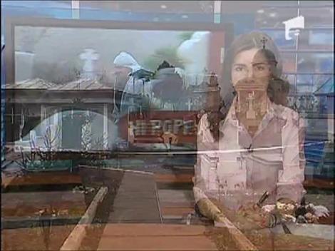 Morminte vandalizate in judetul Arges