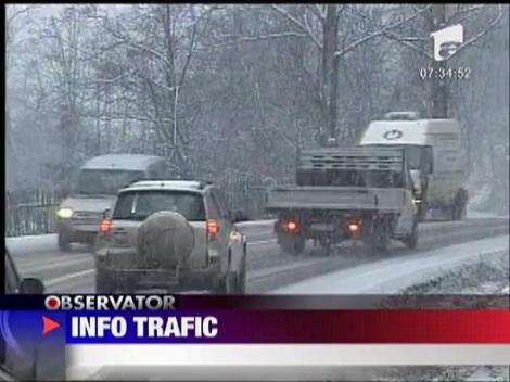 Traficul zilei - 22.01.2010