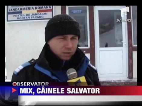 Mix - salvatorul turistilor rataciti sau prinsi de avalansa