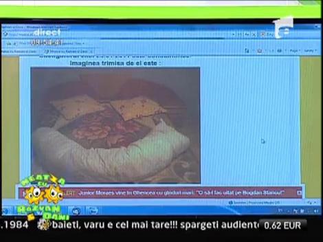 Castigatorul concursului " Vanatorii de smiley-uri"  24.01.2011