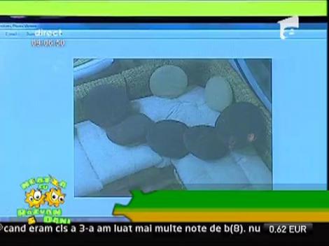 Vanatorii de smiley-uri