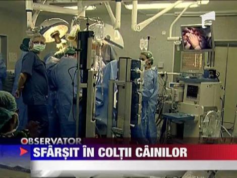 Taniusa Stachievici, femeia muscata de caini, a murit!