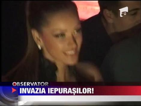 Brasovul, invadat de iepurasi sexy