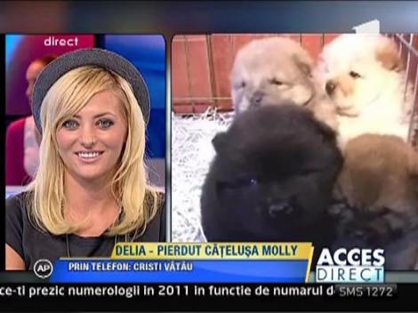 Daca nu o gaseste pe Molly, Delia are o alta oferta