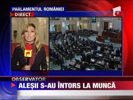 Alesii s-au intors la munca