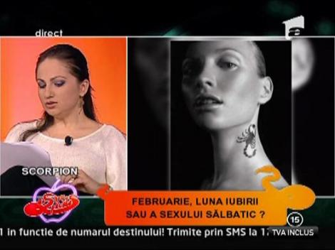 Horoscopul iubirii, februarie: Scorpion