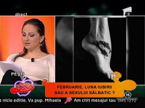 Dragoste, bani, sanatate. Horoscopul lunii martie: Pesti