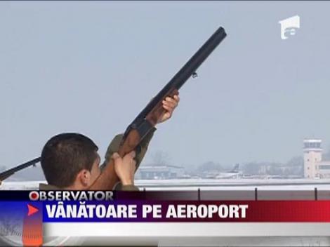 Vanatoare de ciori pe aeroport