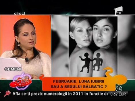 Horoscopul iubirii, februarie: Gemeni