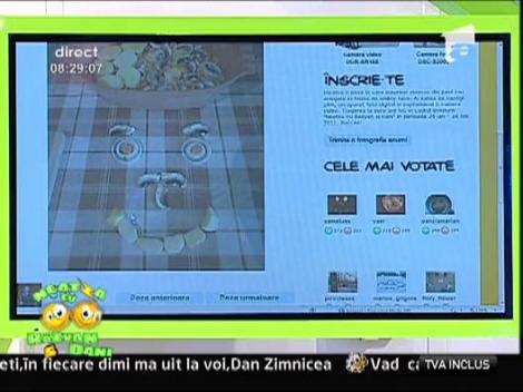 Vanatorii de smiley-uri