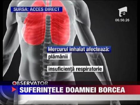 Suferintele doamnei Borcea