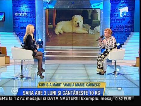 Maria Carneci si Sara, catelusa ei superba de 3 luni si 10 kg