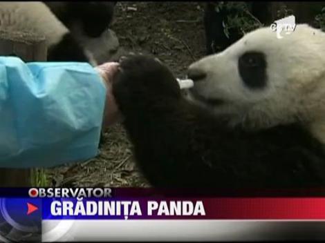 Gradinita ursilor panda