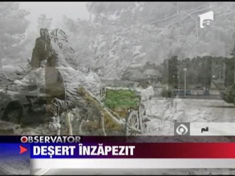 Desertul iranian, inzapezit