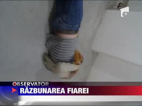 Barbatul care a supravietuit atacului ursuletului de plus