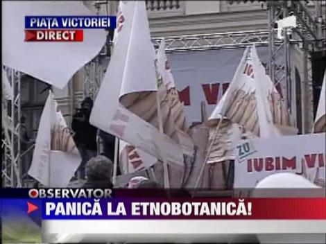 Radio Zu da panica la etnobotanica!