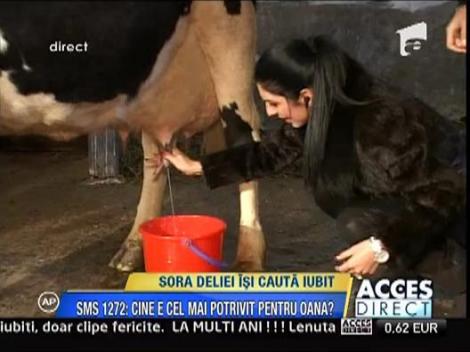 Tonciu si cantareata Emmy dau de probleme la ferma