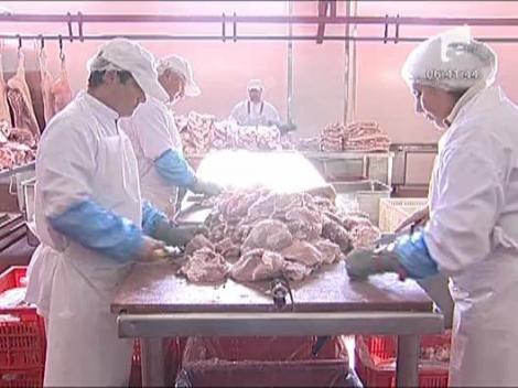 Felicia: Carnea rosie vs. carne alba