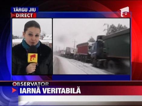 Iarna a revenit in Romania