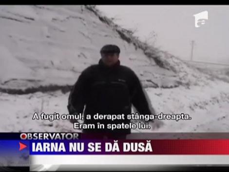 Iarna a revenit in judetul Mehedinti