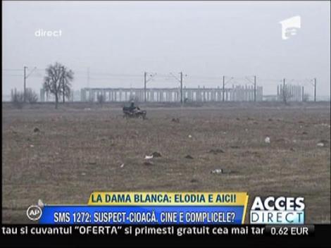 Luis Lazarus o cauta pe Elodia