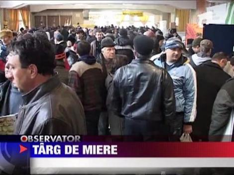 Targ de miere la Campina