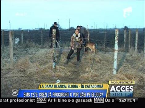 Locul unde Rosa sustine ca se afla cadavrul Elodiei