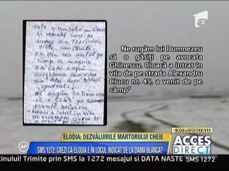 Elodia: Dezvaluirile martorului cheie