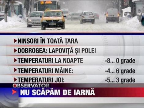 Ninsorile vor continua si in zilele urmatoare