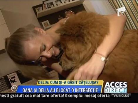 Delia Matache si-a gasit catelul!